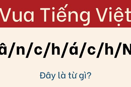 99% 'cao thủ ngôn từ' bị câu đố này đánh gục
