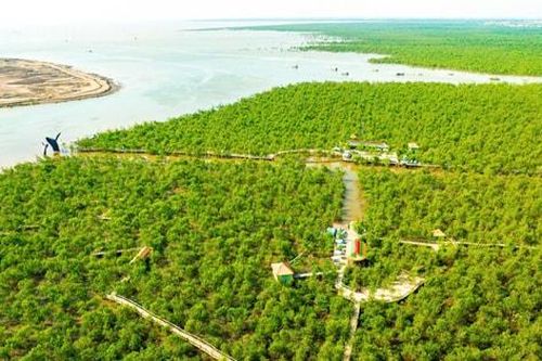 Nhiều bất ngờ khi khám phá rừng ngập mặn Vạn Hương (Hải Phòng)