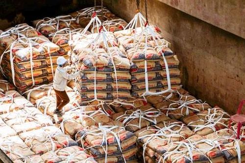 Giải pháp bền vững từ vật liệu xanh