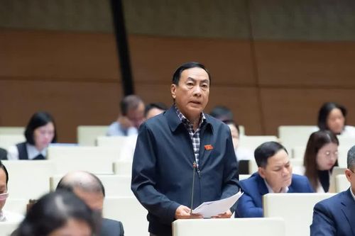 Đại biểu Quốc hội: nghiên cứu lại việc hợp nhất các cơ quan báo chí tự chủ