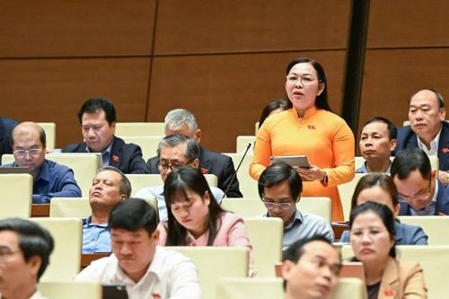 Đại biểu Quốc hội đề nghị sớm đầu tư 'nền tảng số báo chí quốc gia'