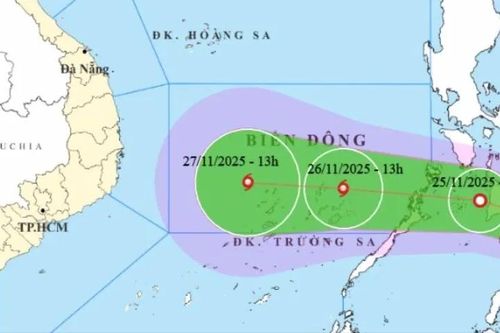 Ứng phó áp thấp nhiệt đới có khả năng thành bão