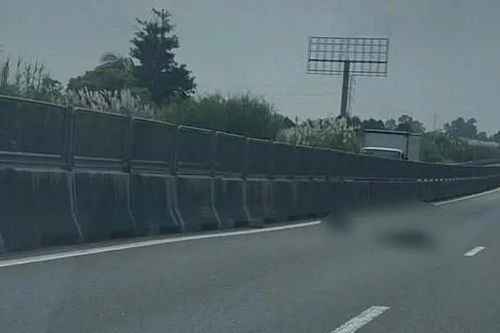 Phát hiện thi thể người nước ngoài trên đường cao tốc Trung Lương - Mỹ Thuận