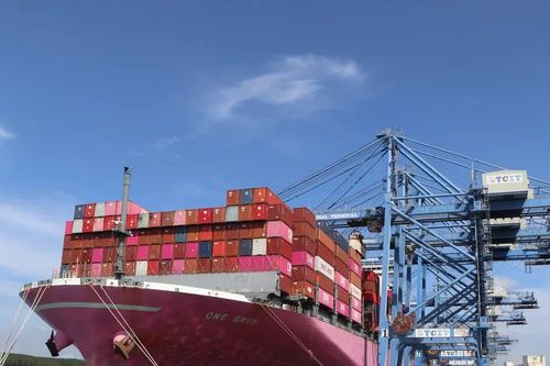 Cảng quốc tế Tân Cảng – Cái Mép tiếp tục vượt mốc 2 triệu TEU