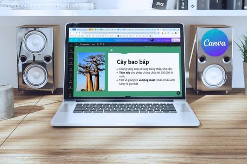 Bật mí cách chỉnh sửa file PDF trong Canva nhanh chóng