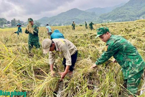 Dấu ấn từ mô hình 'Bản sáng vùng biên'