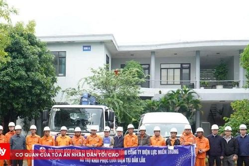 Huy động hơn 250 nhân lực và 40.000 công tơ khôi phục hệ thống điện