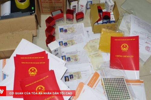 Bị cáo cầm đầu đường dây làm giả giấy tờ, bằng cấp lĩnh án