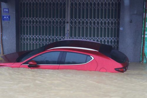 Xử lý thế nào với hàng nghìn ô tô ngập chìm trong nước ở Khánh Hòa, Đắk Lắk?