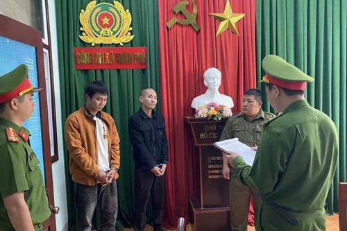 Bắt hai đối tượng trộm cây mai vàng cảnh trị giá 80 triệu đồng