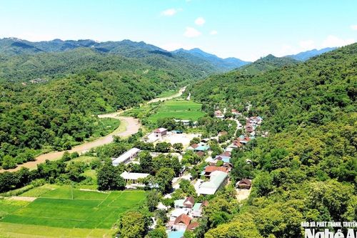Nghệ An giao hơn 202.000 ha rừng cho 27.339 hộ dân quản lý