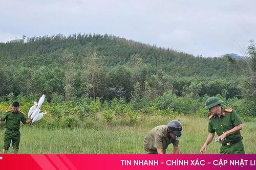 Tích cực tuyên truyền, đấu tranh, xử lý vi phạm về bảo vệ các loài động vật hoang dã, nguồn lợi thủy sản
