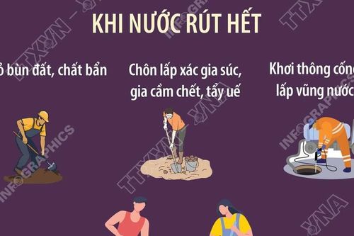 Hướng dẫn dọn dẹp, khử trùng sau ngập lụt để bảo vệ sức khỏe