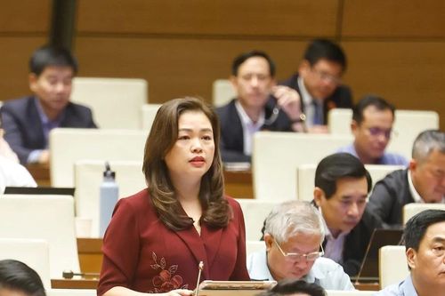 Sửa đổi Luật Báo chí: Cần bảo vệ nhà báo và người cung cấp thông tin