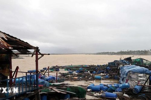 Mưa lũ miền Trung - Tây Nguyên: Thiệt hại trên 1.300 ha thủy sản