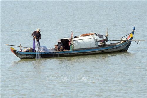Nghiên cứu phát hiện tác nhân đang 'đầu độc' các dòng sông ở Đông Nam Á