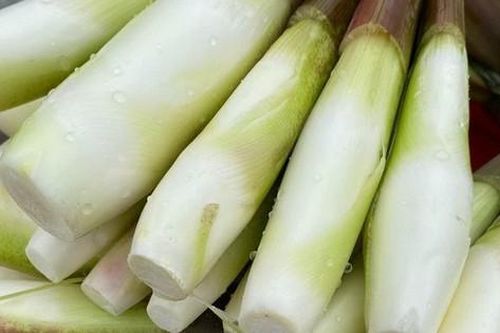 Đặc sản 'sâm trong nước': Giàu vitamin, nghèo calo, giúp giảm cân, làm đủ món ngon ngày lạnh