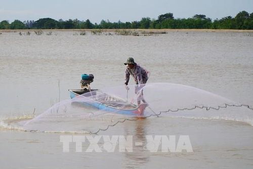 Khoảnh khắc cuối mùa nước nổi trên đất Sen hồng