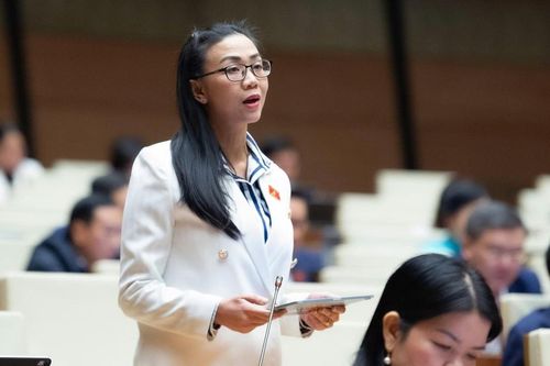 Đại biểu Quốc hội đề nghị nền tảng số phải trả phí cho báo chí nếu trích dẫn thông tin