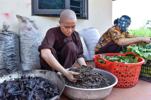 Chốn bình yên cho những mảnh đời bất hạnh