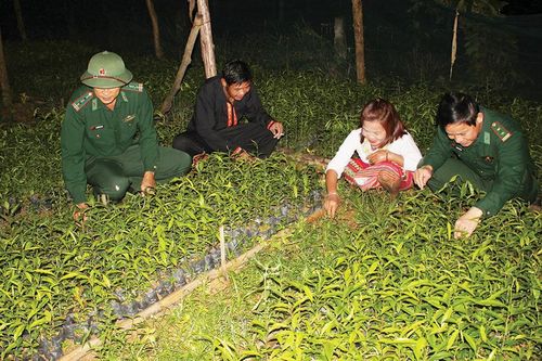 Hành trình đổi đời của người Chứt ở Rào Tre