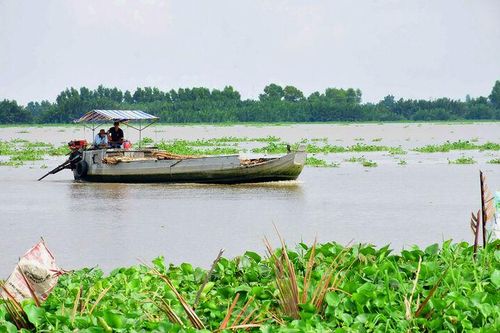 Theo dòng Cái Lớn