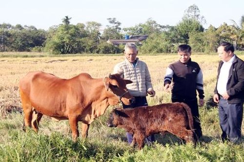 Xã Cẩm Lý hoàn thành rà soát hộ nghèo, hộ cận nghèo năm 2025