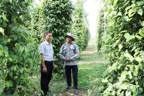 Nhiều vấn đề 'nóng' trong lĩnh vực nông nghiệp và môi trường