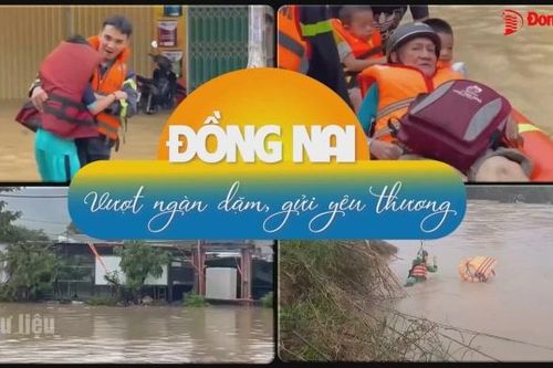Đồng Nai vượt ngàn dặm, gửi yêu thương