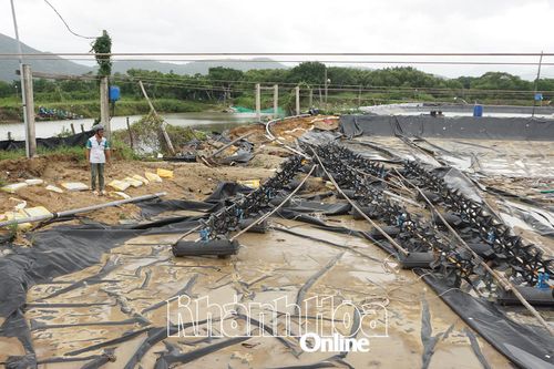 Xã Nam Cam Ranh: Người nuôi thủy sản bị thiệt hại nặng