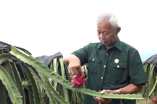 Gương sáng ở Sang Đốm