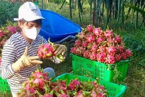 Hải Ninh vun đắp đời sống đồng bào dân tộc thiểu số