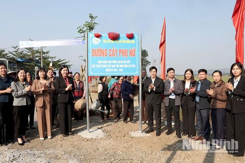 Gắn biển công trình 'Đường cây phụ nữ' chào mừng Đại hội đại biểu MTTQ Việt Nam tỉnh, nhiệm kỳ 2025-2030