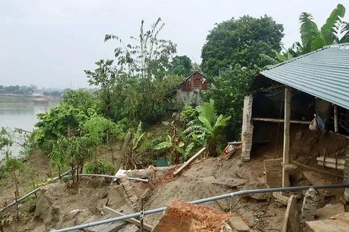 Sạt lở nghiêm trọng uy hiếp hàng chục hộ dân ven sông Lô tại xã Hải Lựu