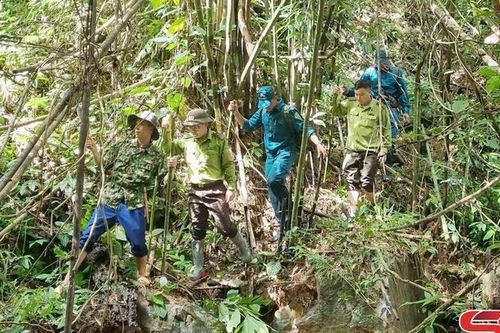 Huổi Một giữ màu xanh của những cánh rừng