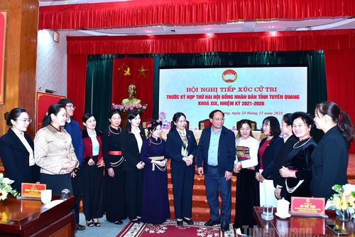 Phó Bí thư Thường trực Đảng ủy UBND tỉnh Nông Thị Bích Huệ tiếp xúc cử tri xã Nà Hang