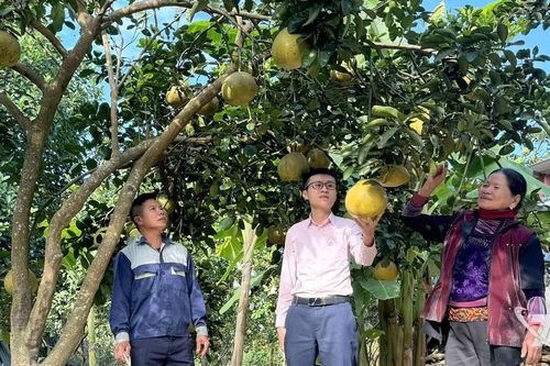 Nguồn vốn chính sách thúc đẩy sản xuất