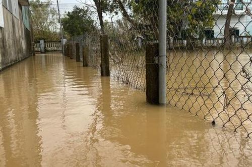 Gia Lai: Đêm và sáng 24/11 mưa lớn, nhiều khu vực ngập trở lại