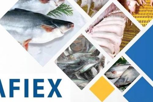 Chuyển động mới của AFIEX trước thềm niêm yết trên HOSE