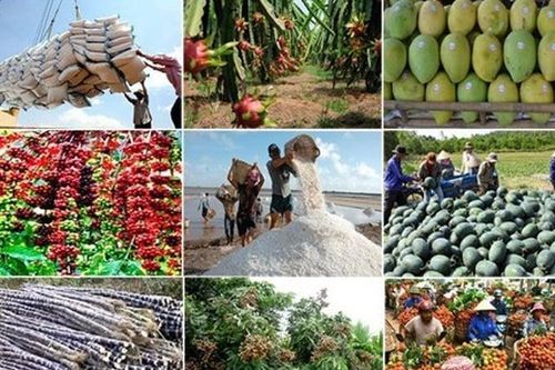 Năm ngành hàng tỷ USD kiến nghị Quốc hội gỡ khó về chính sách thuế GTGT