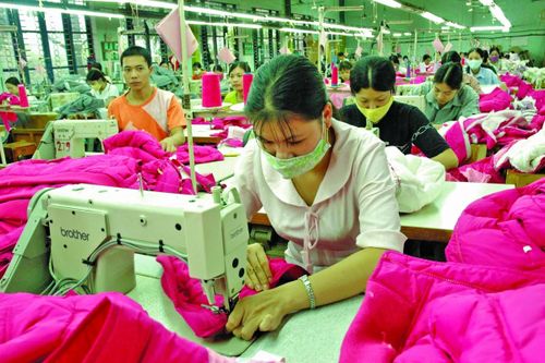 Doanh nghiệp vừa và nhỏ bắt nhịp công cụ thuế