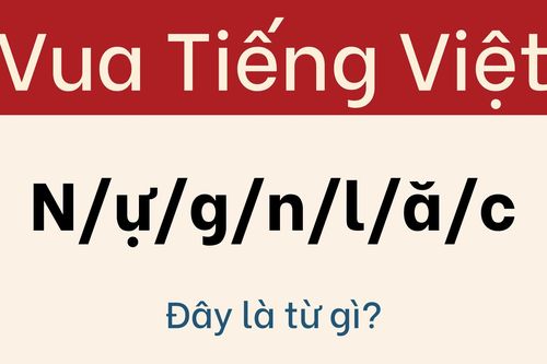 Ngay cả những người thông thái nhất cũng bị câu đố này qua mặt