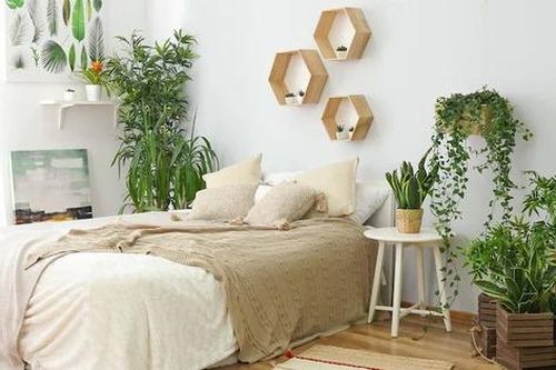 Những đồ vật cấm kỵ trong phòng ngủ không nên phạm phải nếu không muốn ảnh hưởng tới sức khỏe