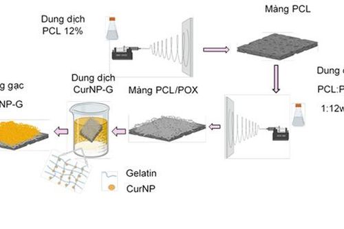 Hướng đi mới cho vật liệu y sinh 'Made in Vietnam'