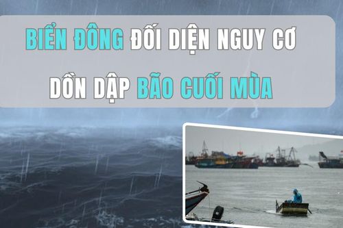Biển Đông đối diện nguy cơ dồn dập bão cuối mùa