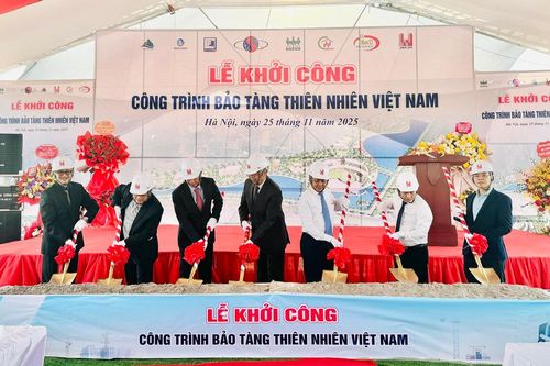 Chuẩn bị mặt bằng, xây dựng cơ sở hạ tầng Bảo tàng Thiên nhiên Việt Nam