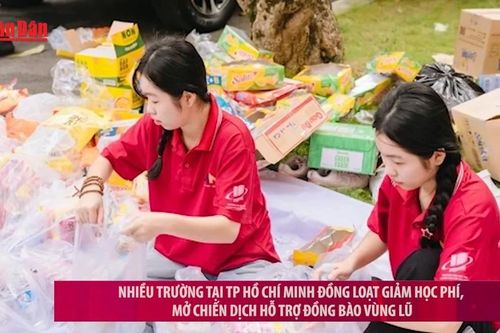 Nhiều trường tại TP Hồ Chí Minh giảm học phí, mở chiến dịch hỗ trợ đồng bào vùng lũ