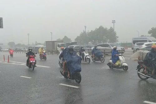 TPHCM: Đề phòng triều cường cao, chủ động ứng phó áp thấp nhiệt đới
