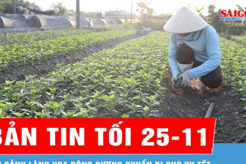 Bản tin tối 25-11: Cận cảnh làng hoa Đông Cương chuẩn bị cho vụ tết