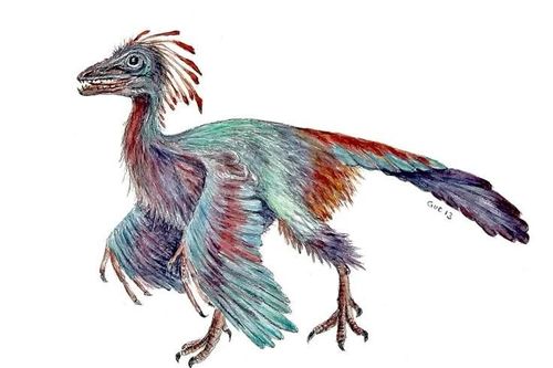 'Chim nguyên thủy' nổi tiếng nhất hành tinh giấu bí mật tiến hóa khủng long